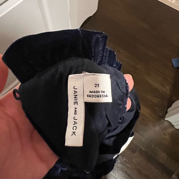 Janie and Jack Beautiful Velvet Toddler Dress - Picture 4 of 5